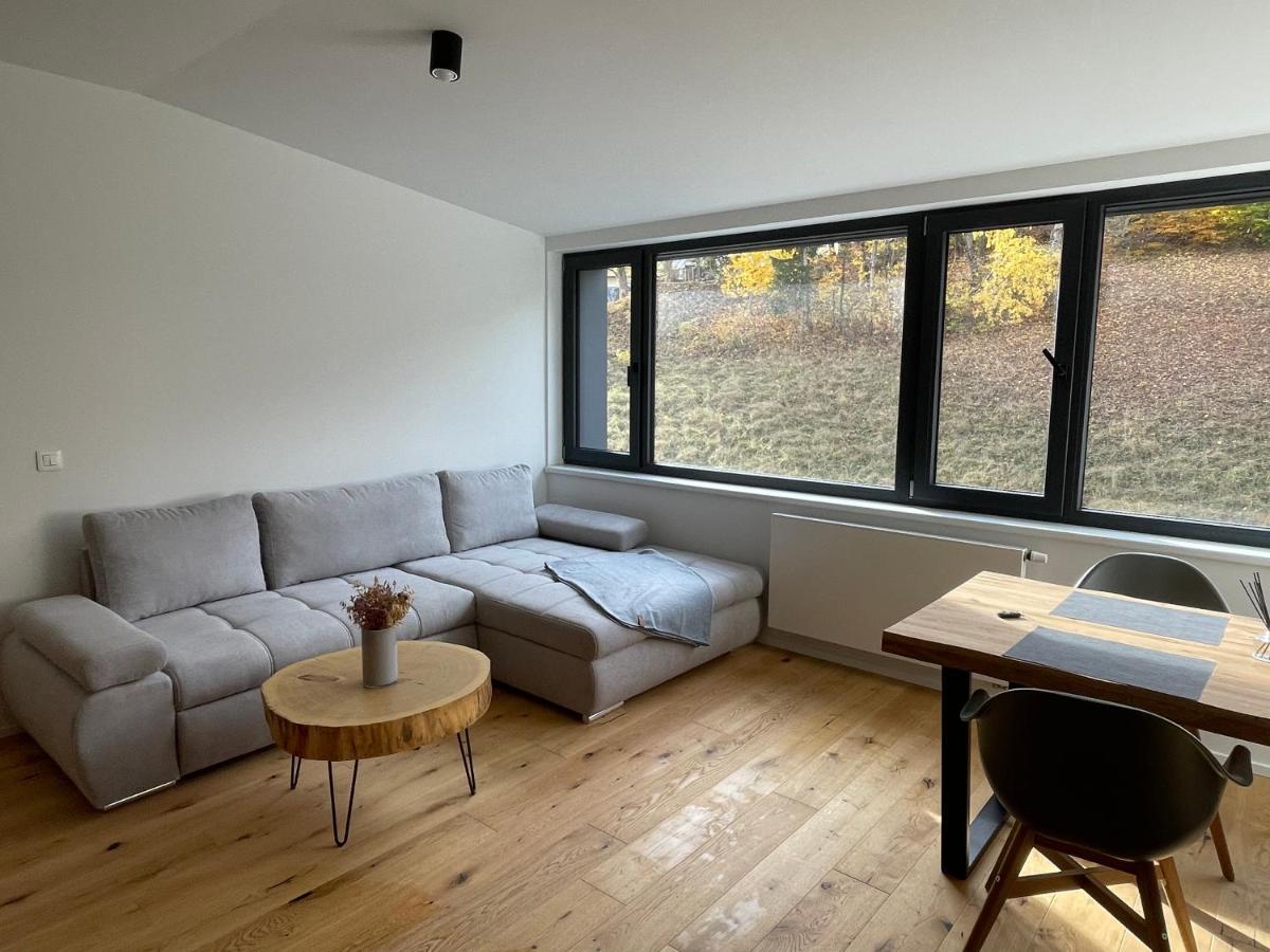 יאנסקה לזנה Ski&Bike Horsky Apartman 502 מראה חיצוני תמונה
